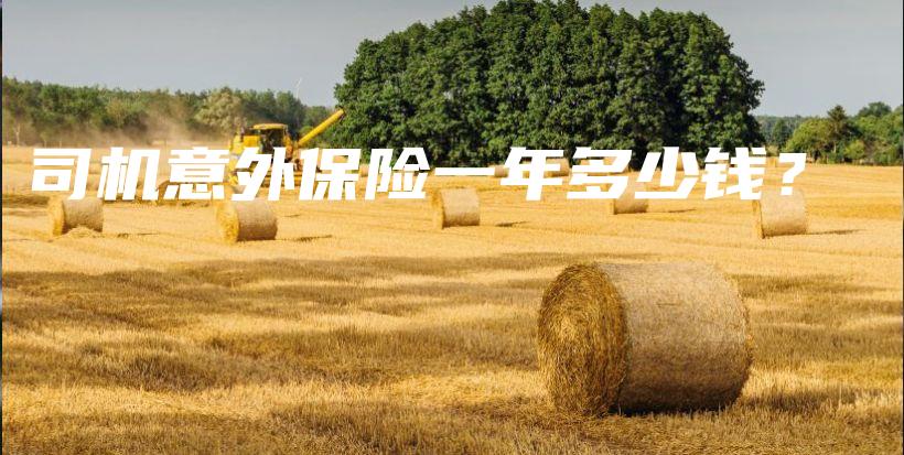 司机意外保险一年多少钱？-保点通
