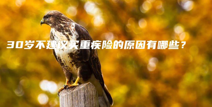 30岁不建议买重疾险的原因有哪些？-保点通