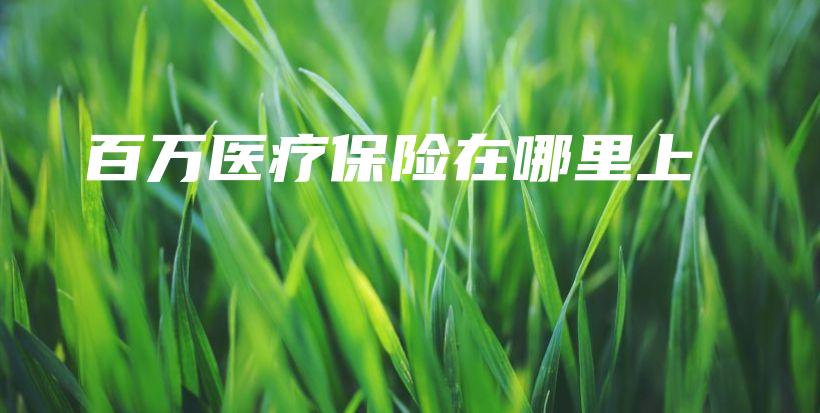 百万医疗保险在哪里上-保点通