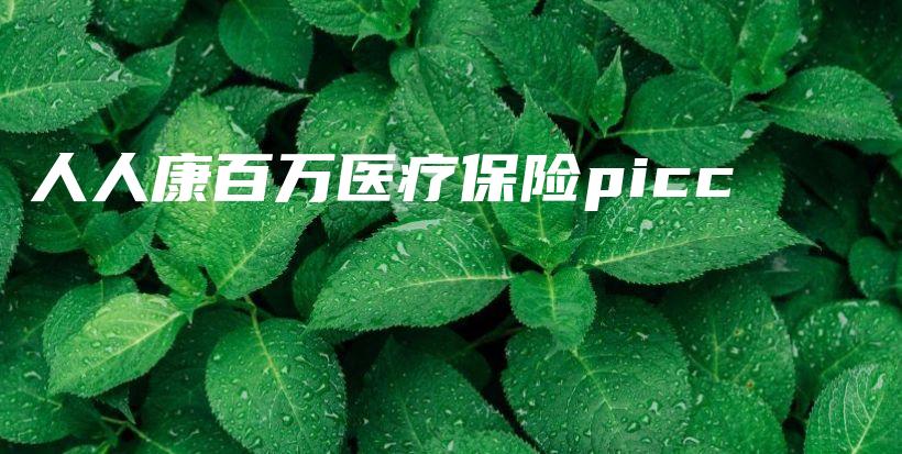 人人康百万医疗保险picc-保点通