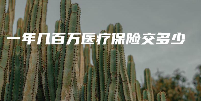 一年几百万医疗保险交多少-保点通
