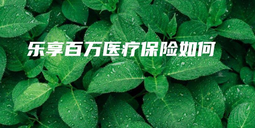 乐享百万医疗保险如何-保点通