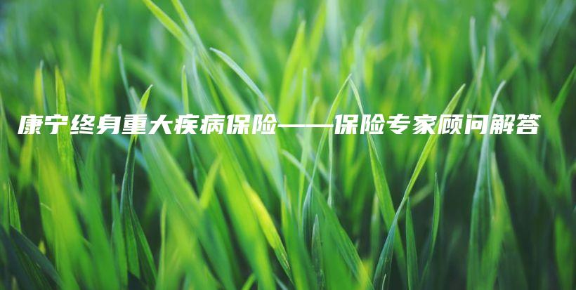 康宁终身重大疾病保险——保险专家顾问解答-保点通