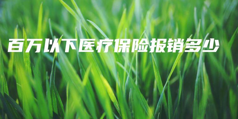 百万以下医疗保险报销多少-保点通