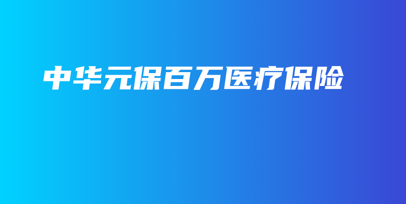 中华元保百万医疗保险-保点通