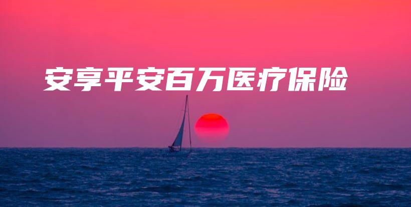 安享平安百万医疗保险-保点通