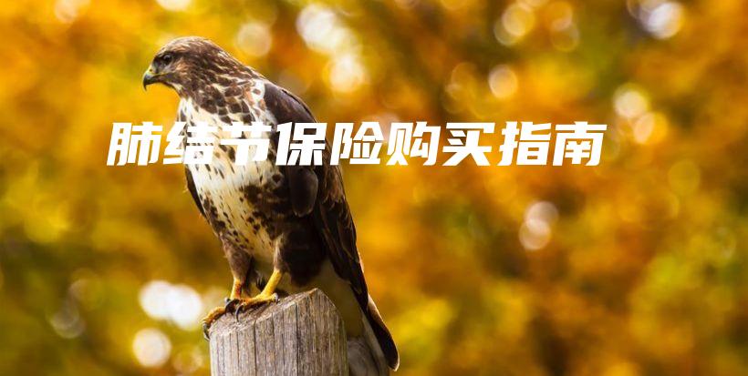 肺结节保险购买指南-保点通