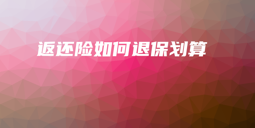 返还险如何退保划算-保点通