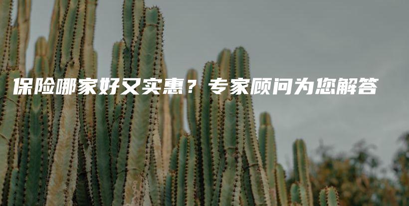 保险哪家好又实惠？专家顾问为您解答-保点通