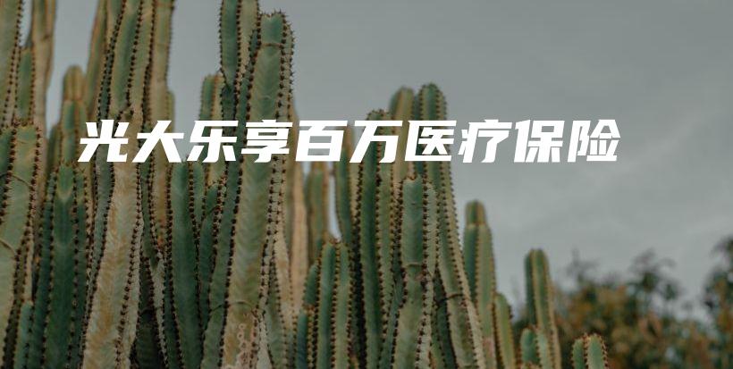 光大乐享百万医疗保险-保点通