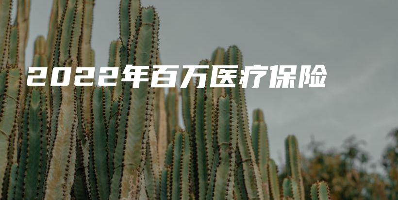 2022年百万医疗保险-保点通