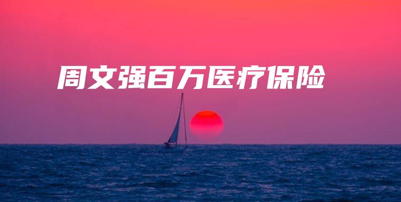 周文强百万医疗保险-保点通