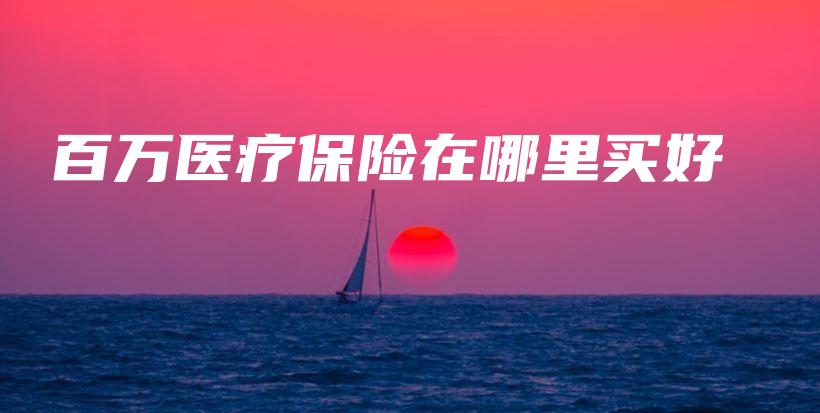 百万医疗保险在哪里买好-保点通