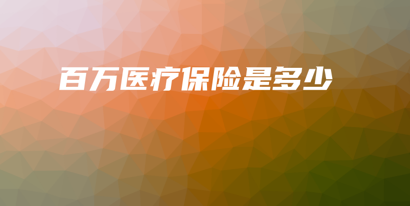 百万医疗保险是多少-保点通