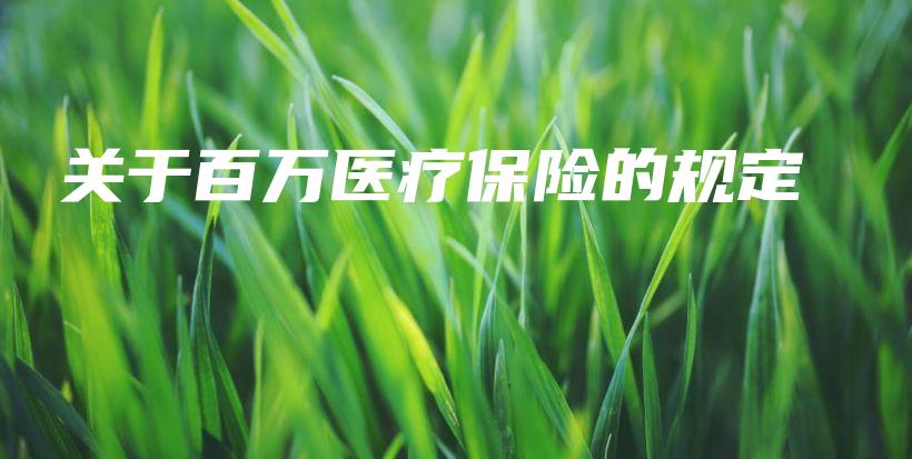 关于百万医疗保险的规定-保点通