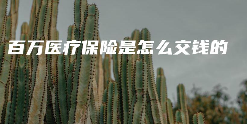 百万医疗保险是怎么交钱的-保点通