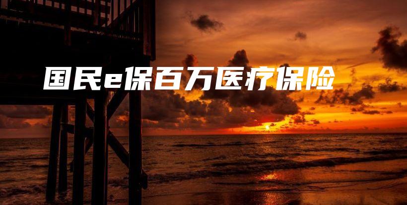 国民e保百万医疗保险-保点通