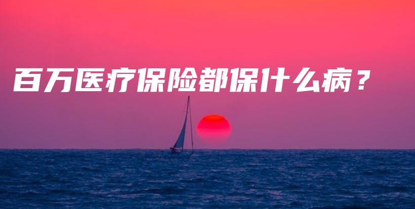 百万医疗保险都保什么病？-保点通