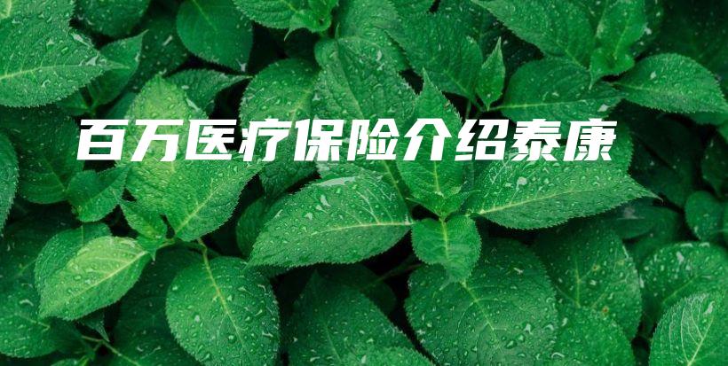 百万医疗保险介绍泰康-保点通
