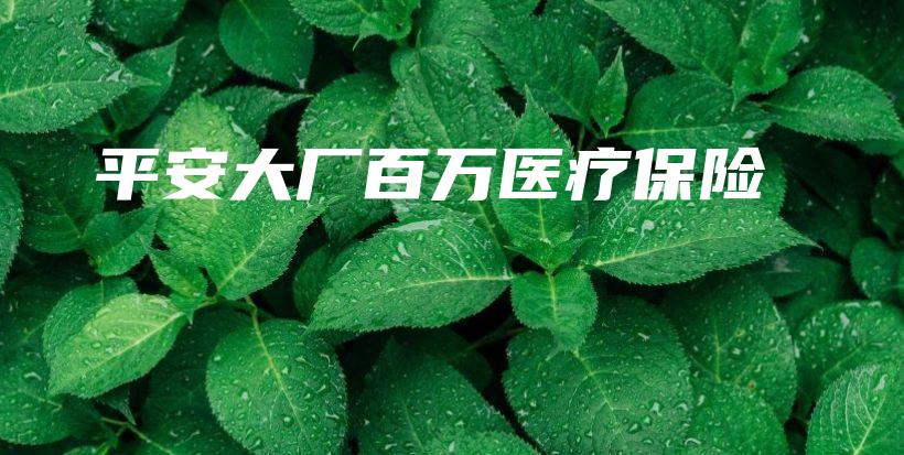 平安大厂百万医疗保险-保点通