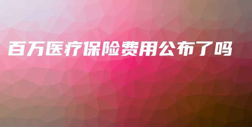 百万医疗保险费用公布了吗-保点通