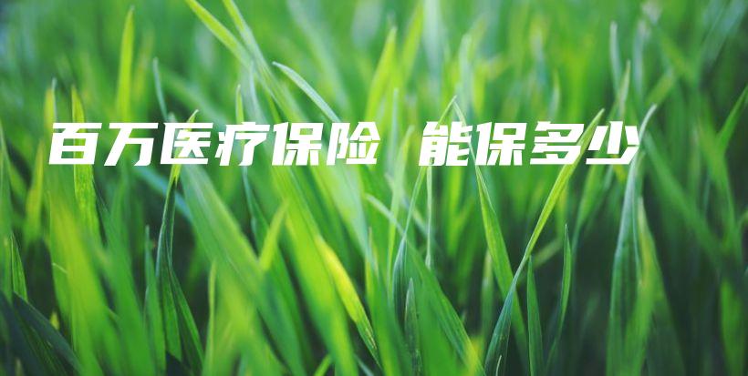 百万医疗保险 能保多少-保点通