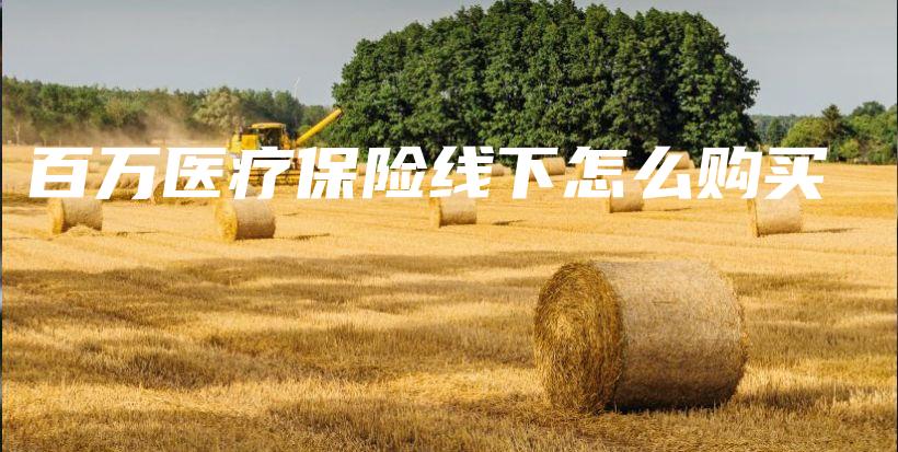 百万医疗保险线下怎么购买-保点通