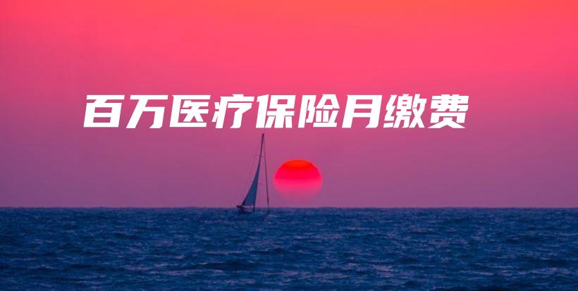 百万医疗保险月缴费-保点通