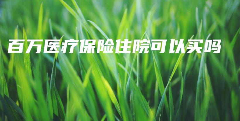 百万医疗保险住院可以买吗-保点通