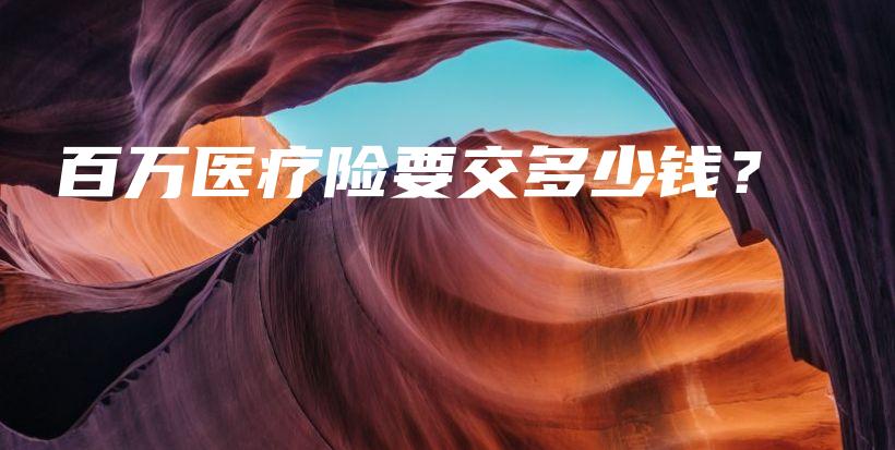 百万医疗险要交多少钱？-保点通