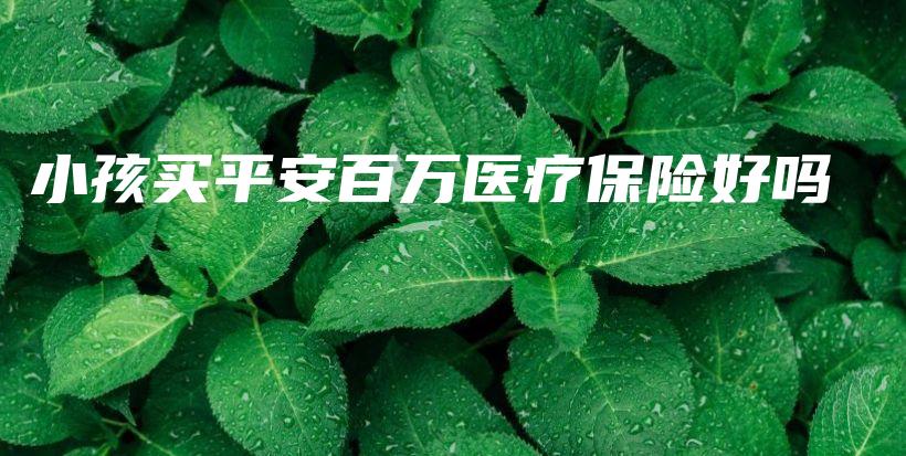 小孩买平安百万医疗保险好吗-保点通