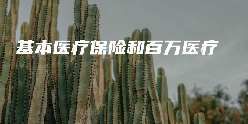 基本医疗保险和百万医疗-保点通