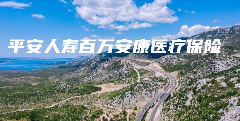 平安人寿百万安康医疗保险-保点通