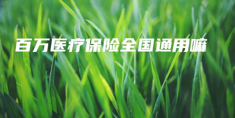百万医疗保险全国通用嘛-保点通