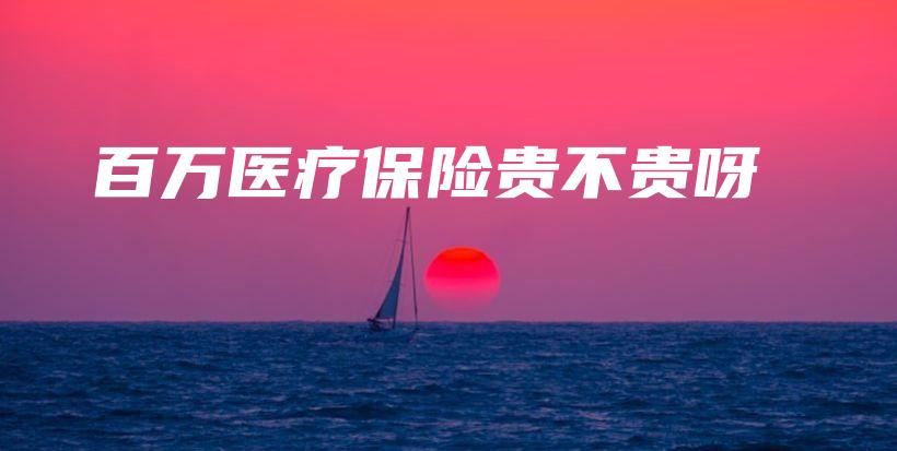 百万医疗保险贵不贵呀-保点通