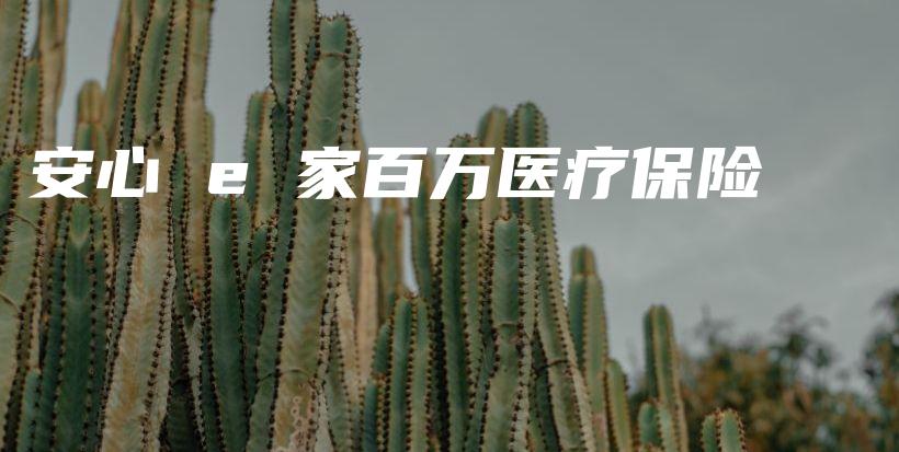 安心 e 家百万医疗保险-保点通