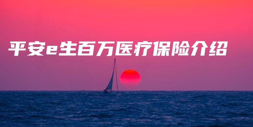 平安e生百万医疗保险介绍-保点通