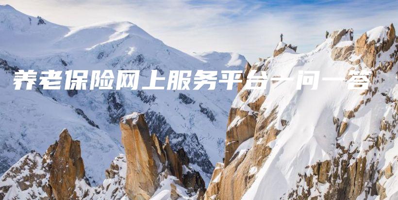 养老保险网上服务平台一问一答-保点通