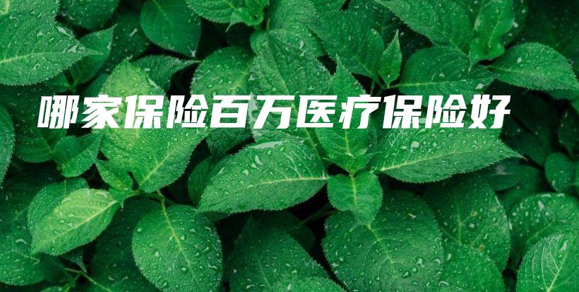 哪家保险百万医疗保险好-保点通