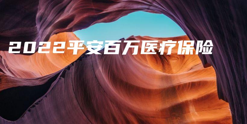 2022平安百万医疗保险-保点通