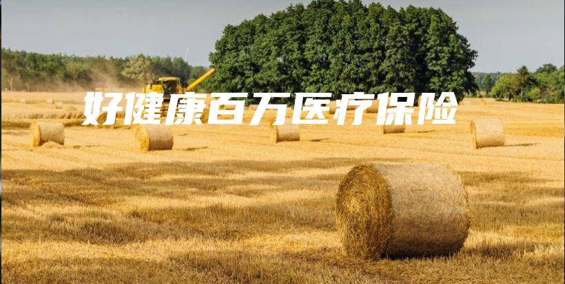 好健康百万医疗保险-保点通