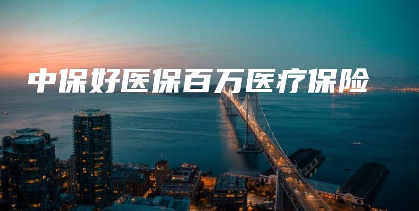 中保好医保百万医疗保险-保点通