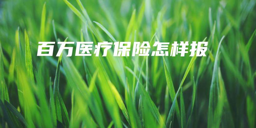 百万医疗保险怎样报-保点通