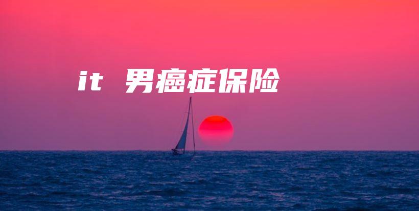 it 男癌症保险-保点通