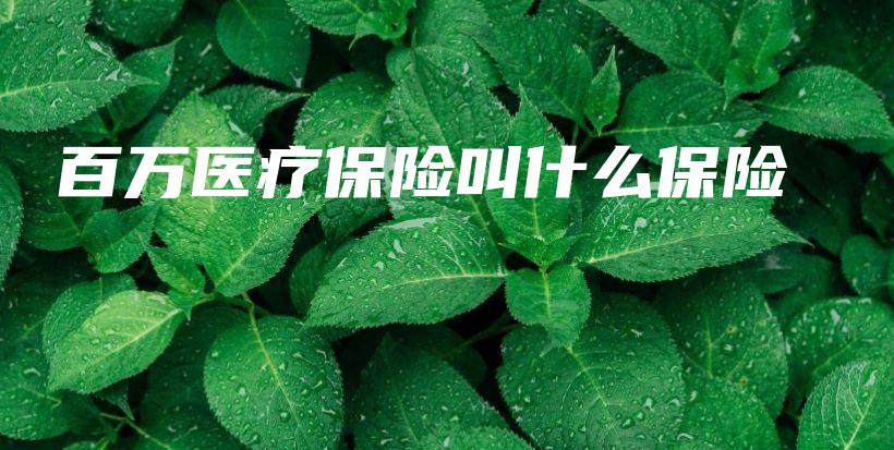百万医疗保险叫什么保险-保点通