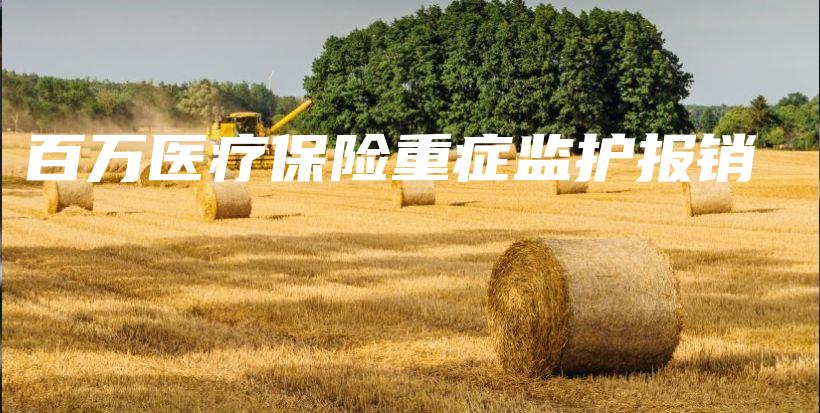 百万医疗保险重症监护报销-保点通