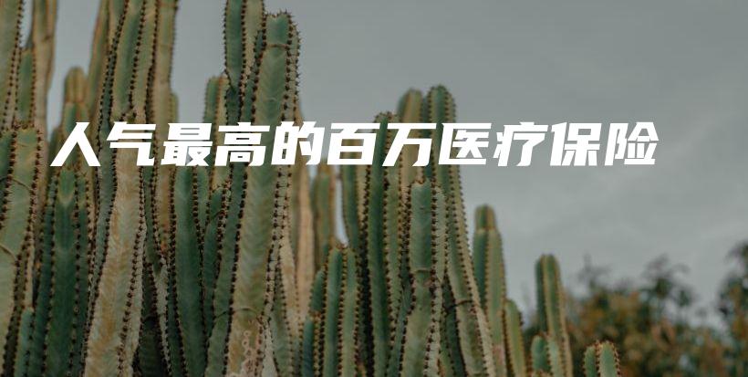 人气最高的百万医疗保险-保点通