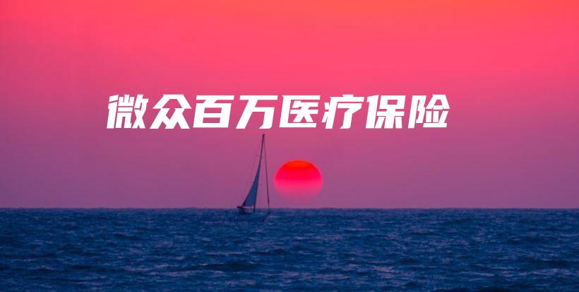微众百万医疗保险-保点通