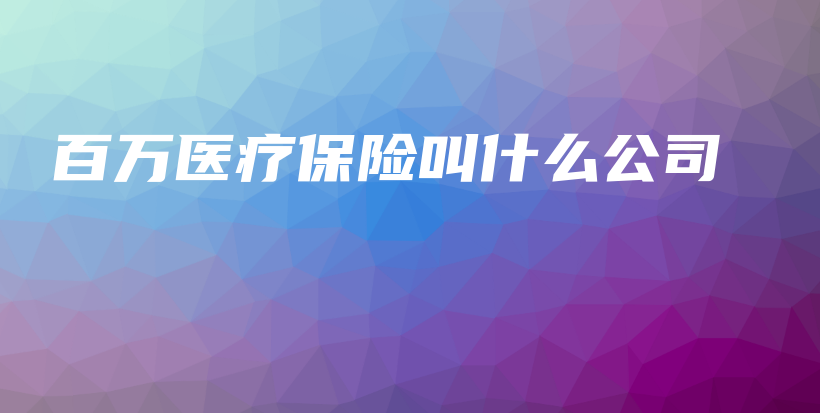 百万医疗保险叫什么公司-保点通