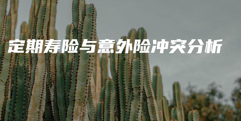 定期寿险与意外险冲突分析-保点通